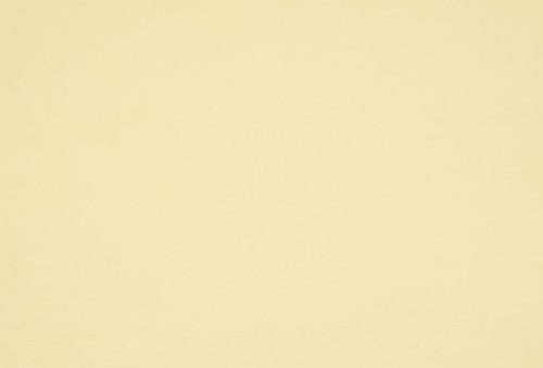 12X12 Textured Cardstock, Easter Yellow (25 Sheets) - The Crafty Canuck