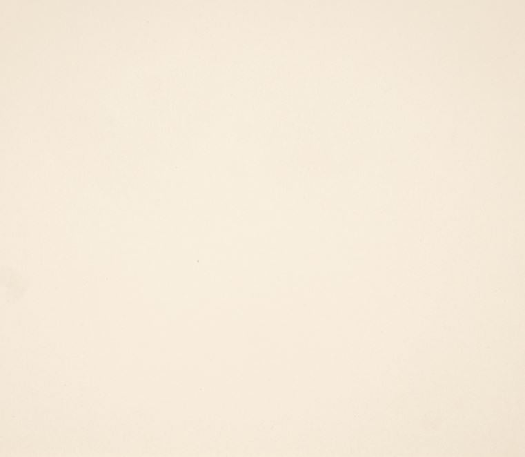 8.5X11  Classic Cardstock, 110lb - Cheese Curd White (10 Sheets)