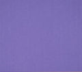 12X12  Classic Cardstock, 92lb - Labrador Violet Purple (25 Sheets)