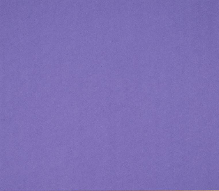 12X12  Classic Cardstock, 92lb - Labrador Violet Purple (25 Sheets)