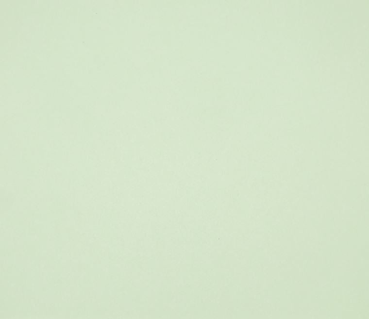 12X12  Classic Cardstock, 92lb - Miner's Lettuce Green (25 Sheets)