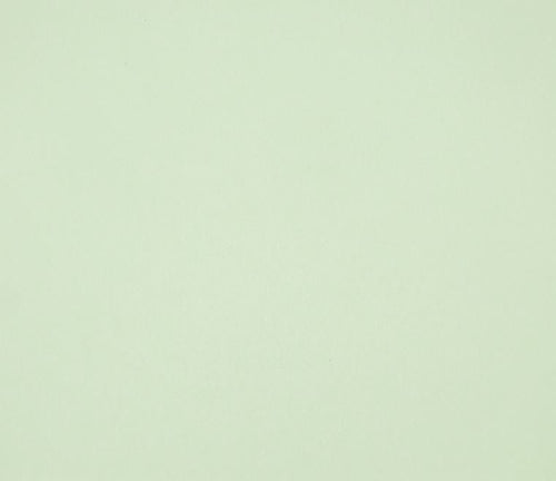 12X12 Classic Cardstock, 92lb - Miner's Lettuce Green (25 Sheets) - The Crafty Canuck