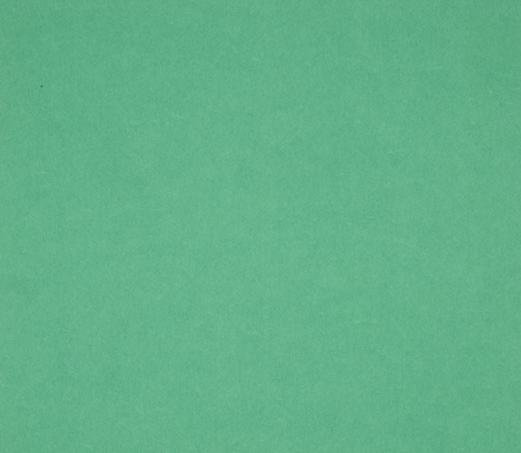 8.5X11  Classic Cardstock, 92lb - Minty Green (10 Sheets)