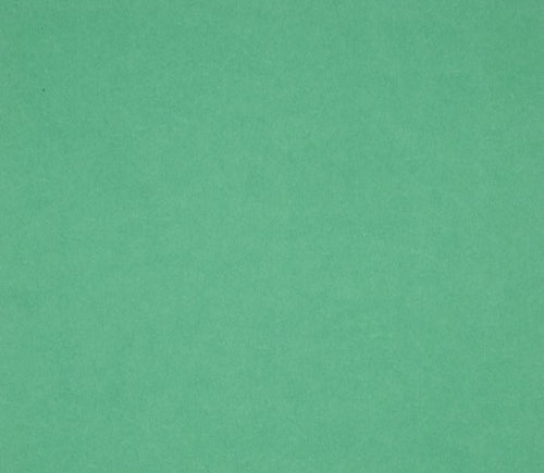 12X12 Classic Cardstock, 92lb - Minty Green (25 Sheets) - The Crafty Canuck