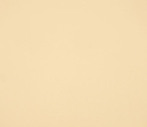 12X12 Classic Cardstock, 92lb - Nanaimo Bar Yellow (25 Sheets) - The Crafty Canuck