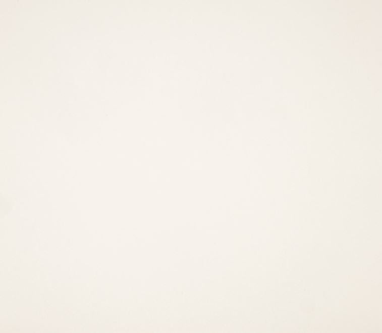 8.5X11  Classic Cardstock, 110lb - Snow Day White (10 Sheets)