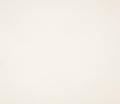 12X12 Classic Cardstock, 92lb - Snow Day White (25 Sheets) - The Crafty Canuck