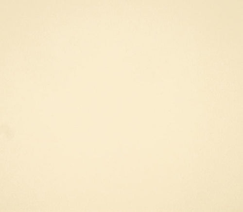 12X12 Classic Cardstock, 92lb - Yukon Gold Yellow (25 Sheets) - The Crafty Canuck